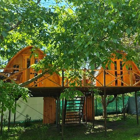 Cabanas Penaflor Glamping Экстерьер фото